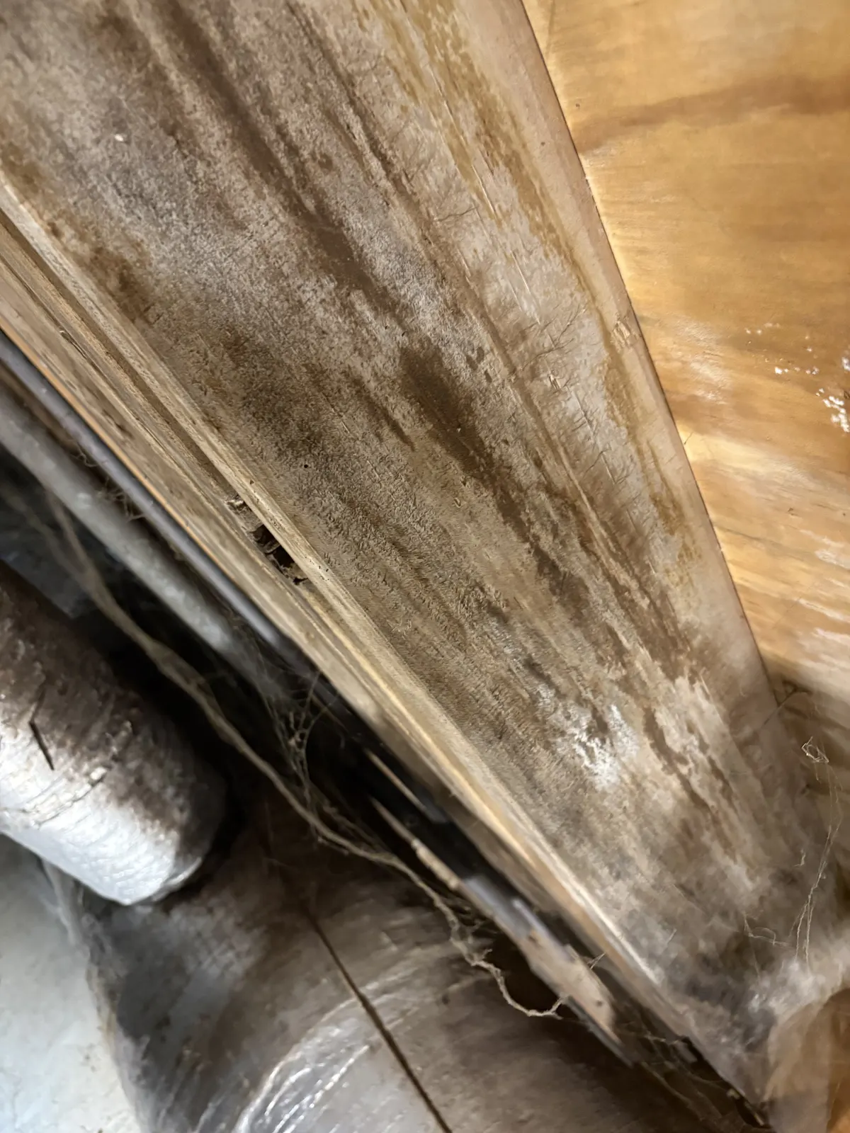 Mold staining on crawl space beam before scrubbing and treatment — Lebanon, TN